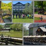 z 5 - Casa Lăzăroiu - Experiență completă în inima munților: cazare, aventură și relaxare