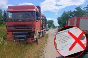accident aninoasa permis