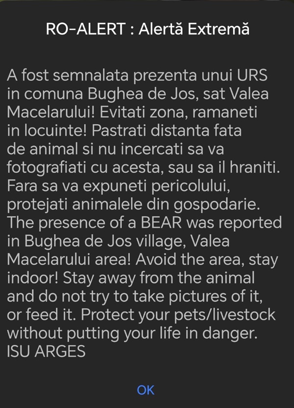ed4d1122 58b4 45e3 82c6 0ad1bce3c9f1 - Alertă în Bughea de Jos! A fost semnalată prezența unui urs