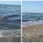 (VIDEO) Alertă în Mamaia Nord! Apa mării și-a schimbat culoarea, autoritățile fac verificări 10 apă mamaia nord