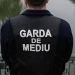 Foto: stirileprotv