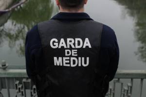 Foto: stirileprotv