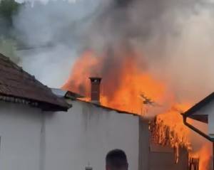 Foto: captură video Pitestiri. 