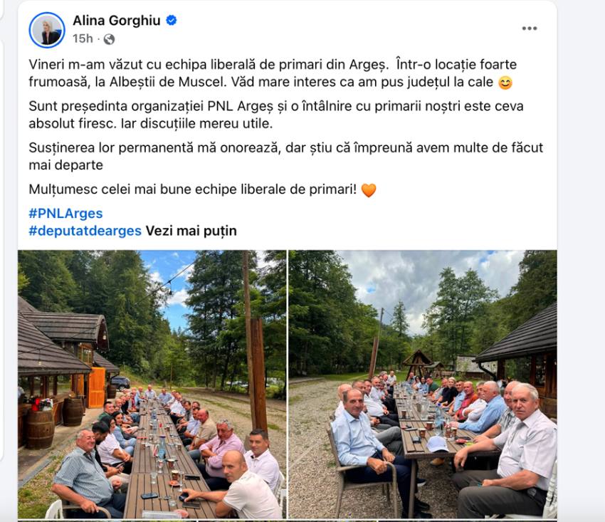 Sursă foto: screenshot FB ALina Gorghiu.