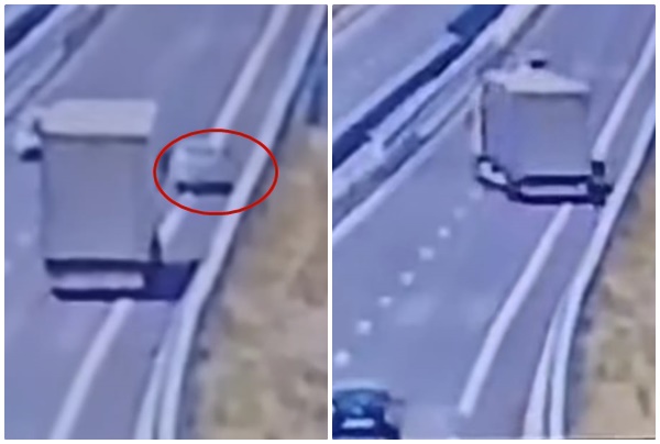 Sursă foto: captură video DRDP Craiova