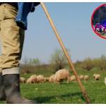 Foto: Adevarul/ Salvamont Argeș/ colaj Ancheta/ descriptiv
