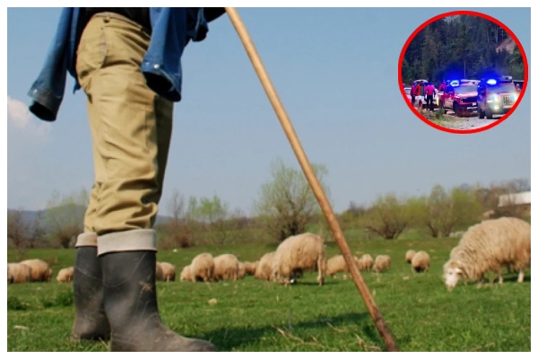 Foto: Adevarul/ Salvamont Argeș/ colaj Ancheta/ descriptiv