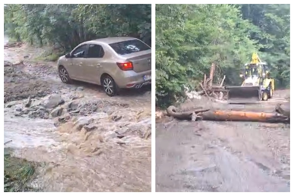 viitură valea rea