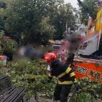 Vijeliile fac prăpăd și în Argeș! Copaci căzuți și curți inundate 13 copac căzut doborât câmpulung
