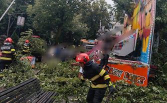 copac căzut doborât câmpulung
