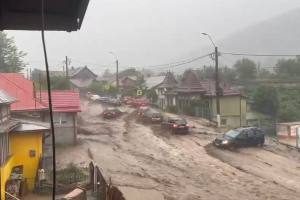viitură Bușteni