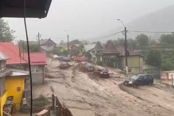 viitură Bușteni viitură Bușteni