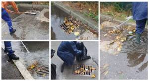 Suyrsă foto: FB Primaria Orasului Mioven
