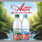 Aqua Aria – apa alcalină din Argeș, izvorâtă din inima Carpaților 11 Aqua Aria