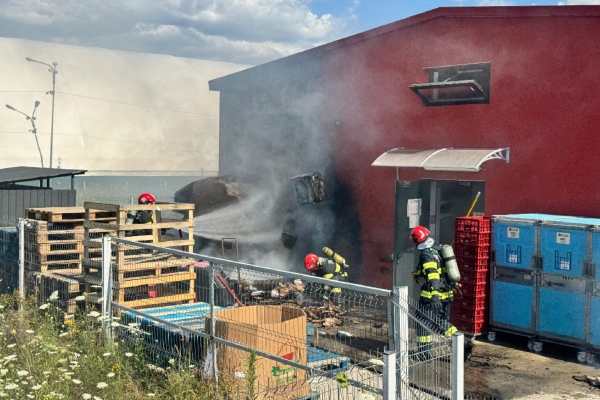 incendiu profi bascov