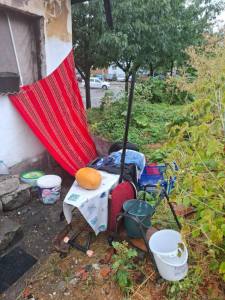 polițiști locali persoane fără adăpost