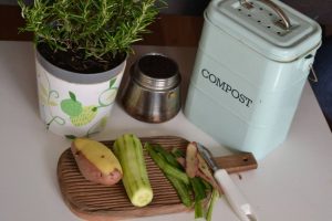 compost deseuri biodegradabile