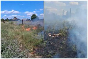 incendiu de vegetație vedea