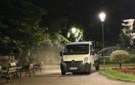 dezinsectie pitesti