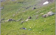 persoana decedata muntii Fagaras