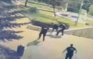Conflict între tineri în Parcul Lumina