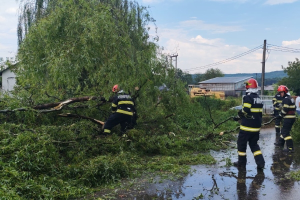 copac căzut stâlpeni copac căzut stâlpeni