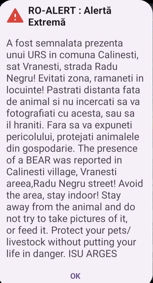 Alertă în Călinești. A fost semnalată prezența unui urs 1 0ea391e8 3ef5 41b2 9ab5 6864444c488e - Alertă în Călinești. A fost semnalată prezența unui urs