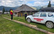 salvamont argeș căutări cioban
