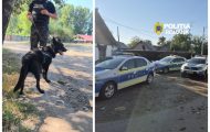 razie ștefănești