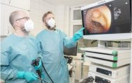 screening cancer screening cancer