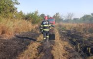 incendiu de vegetație incendiu de vegetație