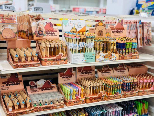 Auchan dă startul pregătirilor pentru școală: peste 2.000 de rechizite, prețuri de la 0,49 lei și 20% reducere la caiete prin reciclare 2 Sursă foto: Auchan