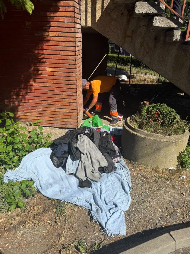 polițistii locali Pitești