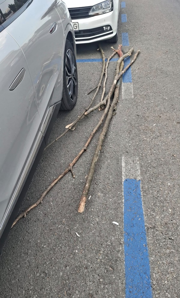 bărbatul plecat din spital a fost găsit cu lemne
