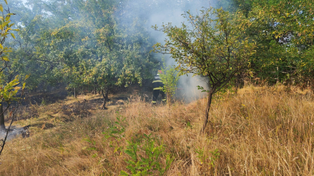 incendiu de vegetație