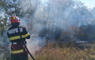 incendiu vegetație