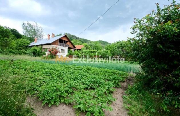 casa vanzare campulung