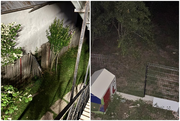 Un urs a dat buzna într-o curte din Băbana! A ignorat total câinii și a rupt lejer gardul!