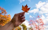 prognoza meteo vreme toamna septembrie