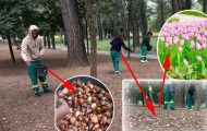 Sursă foto: Colaj Ancheta/ FB Societatea Salpitflor Green SA