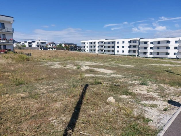 Ambrozia trebuie îndepărtată în Pitești! Amenzi de până la 20.000 de lei pentru terenurile necurățate 1 Sursă foto: FB Primăria Municipiului Pitești