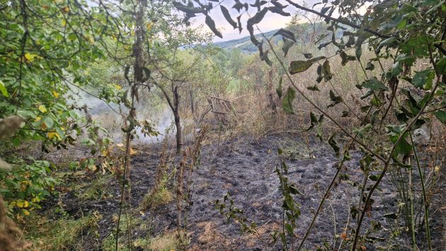 Incendiu la o locuință din Argeș. Bărbat de 89 de ani transportat la spital! 1 incendiu vegetatie arges