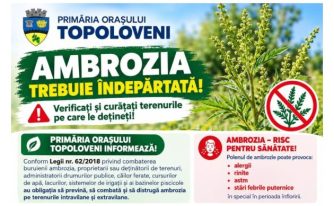 ambrozie Topoloveni