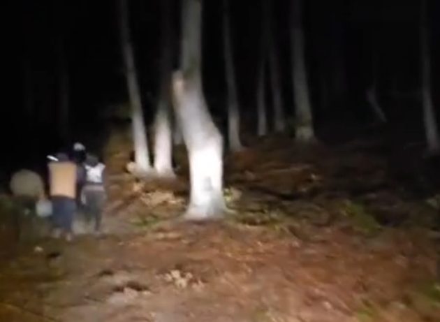 Fetiță de 7 ani dispărută în Șuici, Argeș, găsită teafără după ore de căutări. Filmul evenimentelor 2 cautari padure 2 - Fetiță de 7 ani dispărută în Șuici, Argeș, găsită teafără după ore de căutări. Filmul evenimentelor