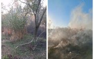 Incendii Argeș