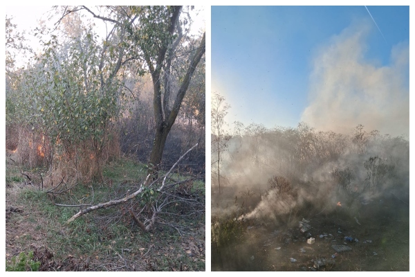 Incendii Argeș Incendii Argeș