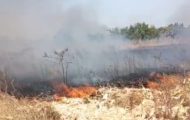 incendiu vegetație arges