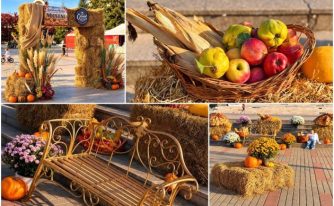 „Sărbătoarea Recoltei pe Valea Argeșelului” - Târgul Meșterilor Populari,