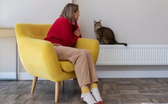 femeie calorifer pisică ajutor de încălzire