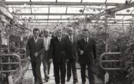 arges comunist